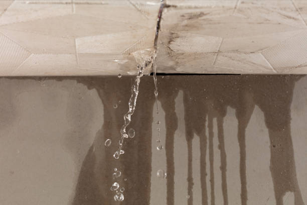 Professional Structural Drying technician working in Greenville, NH